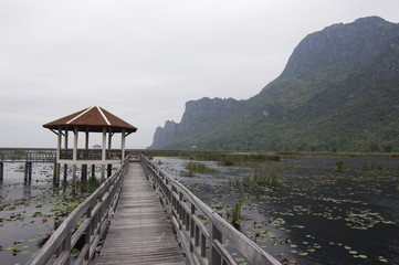 Wooden Bridge in lotus lake at khao sam roi yod national park, thailand