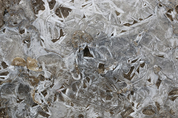 crust of ice on a puddle of leaves