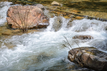 Stream in forest, Nature rill flow