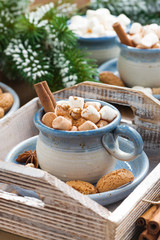 spicy cocoa with marshmallows, cinnamon and cookies 