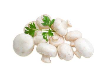 Pile of champignon mushroom on a light background