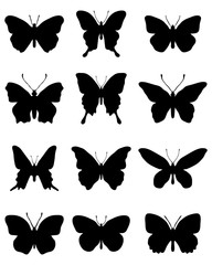 Black silhouettes of butterflies on a white background, vector