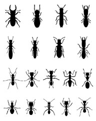 Black silhouettes of ants and termites, vector