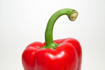 One ripe red  pepper on over white