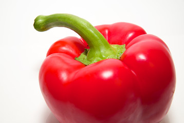 One ripe red  pepper on over white