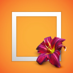 vector illustration of realistic lily flower