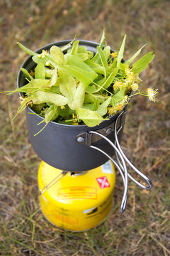 tramping tea