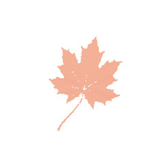 autumn maple leaf