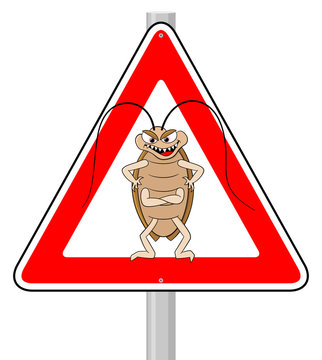 Kakerlaken Warnzeichen