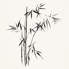 Bamboo branches outlined in black