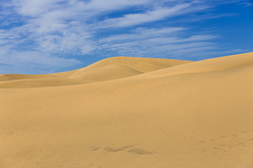 Obraz na płótnie Canvas Maspalomas Duna - Desert in Canary island Gran Canaria
