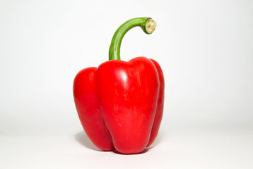 One ripe red  pepper on over white