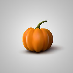 Vector Illustration Of Realistic Pumpkin