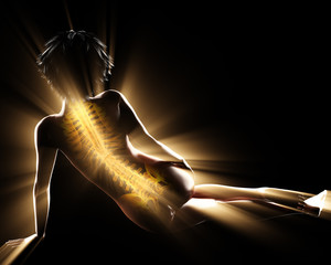 woman bones radiography scan image