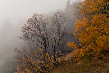 Autumn in the Caucasus Mountains. Sochi Region. The surroundings of Krasnaya Polyana. Russia.