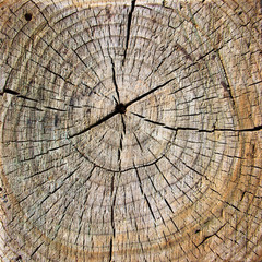 Brown cracked wooden texture with circles