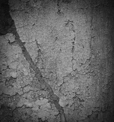 Grunge black and white wall