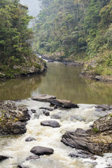 River with waterfall on a rainforest