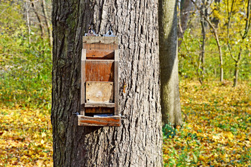 Vogelhäuschen am Baum