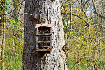 Vogelhäuschen am Baum
