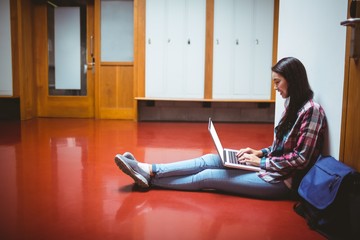Smiling student sitting on the floor and using laptop