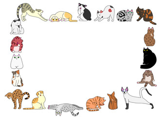 Fototapeta premium frame of cats