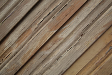 Wood Texture