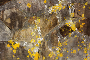 rocks background texture