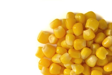 とうもろこし　白背景