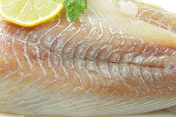 filet de lieu 17112015