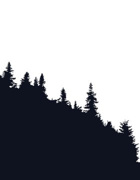 Forest silhouette