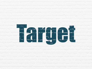 Business concept: Target on wall background
