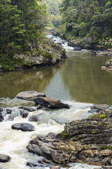 Naklejka na ściany i meble River stream on a green rain forest