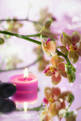 Obraz na płótnie Canvas orchidea con candelina rosa