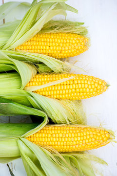 Yellow Corn Cobs Closeup on White Background, Top View, Macro