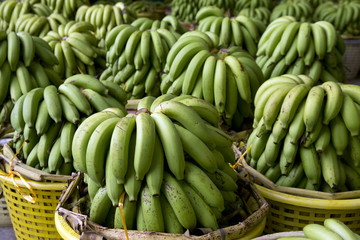 Heap of green banana many a lot of  banana in basket in the market
