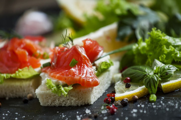 Small sandwiches canapes with salty salmon,  soft cheese and gre