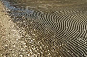 波打ち際の波形