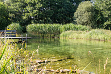 Holzsteg an einem Teich