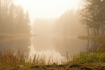 Misty morning at the river in the countryside