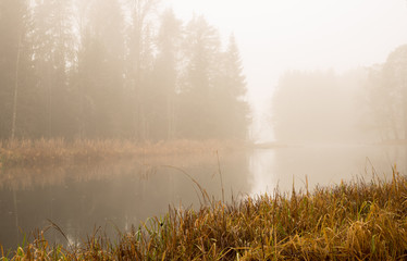 Misty morning at the river in the countryside