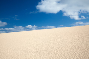 natural dune background