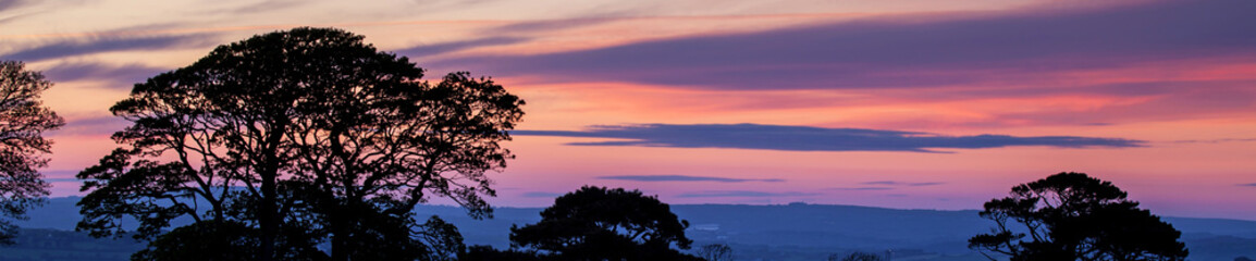 Fototapeta premium Beautiful sunset and tree silhouette panorama.