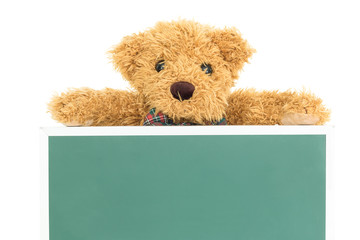 Teddy bear with empty green board