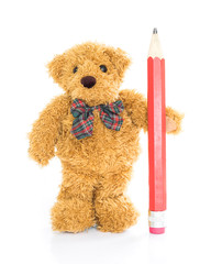 Teddy bear with red pencil