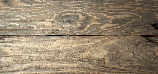 Fototapeta premium Altes Treibholz / Holzbrett aus Eiszeitsee, Schleswig-Holstein, Nahaufnahme, Hintergrund, Textur 