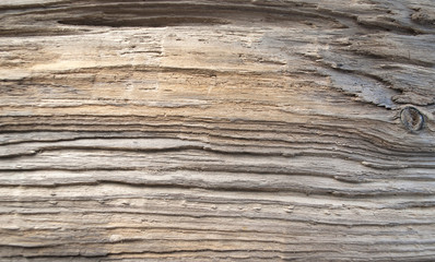 Altes Treibholz / Holzbrett aus Eiszeitsee, Schleswig-Holstein, Nahaufnahme, Hintergrund, Textur 