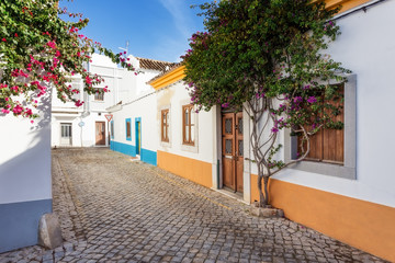 Typical Portuguese alley. street of the village.