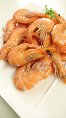 crevettes 17112015