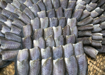 Trichogaster pectoralis, Dry fish out salty , fish thai food.